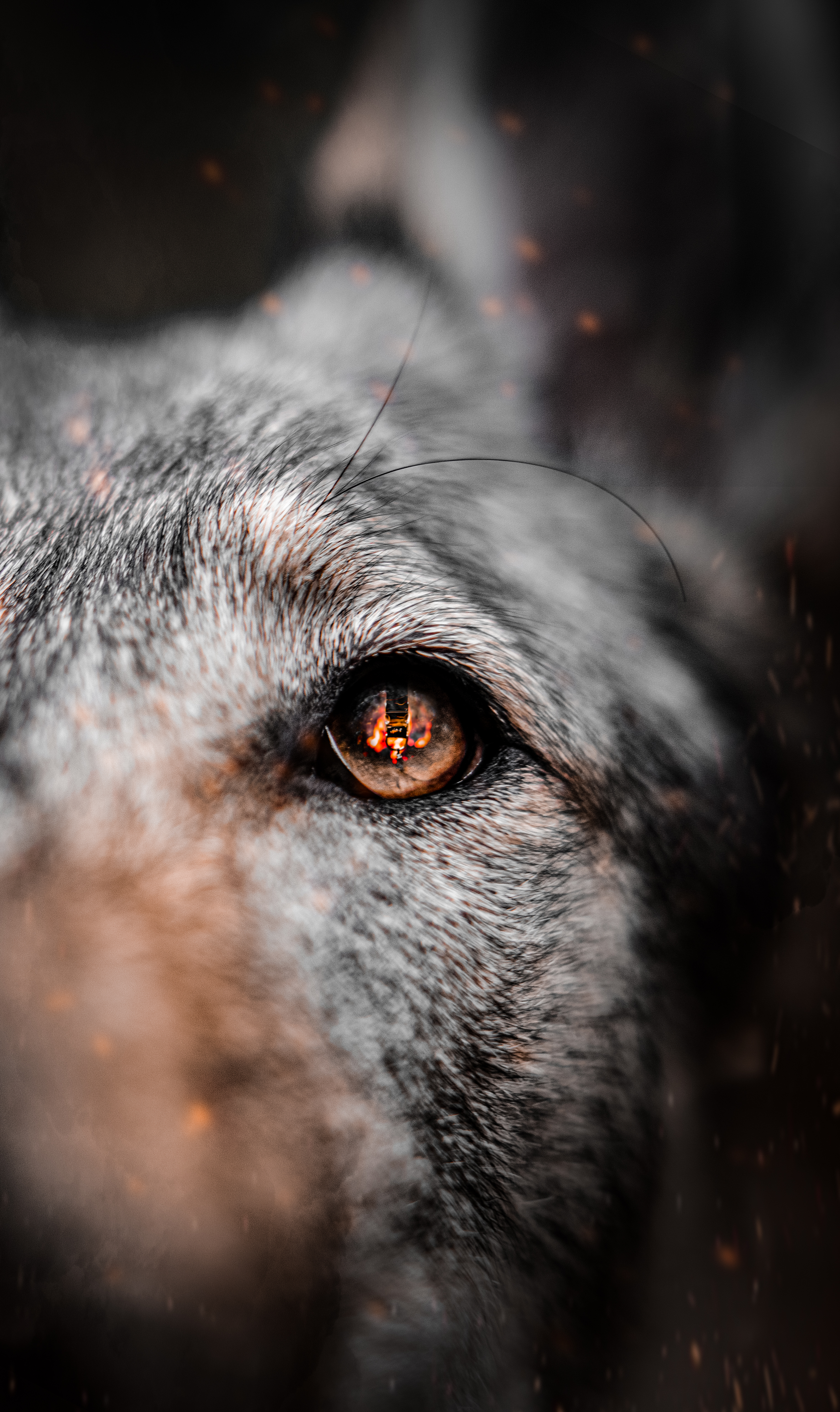 Reklamní fotograf a kameraman-wolves photographers-By Nox-kolekce-Volcano (26)